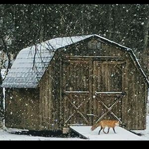 99.9% Offers Accepted